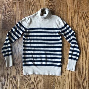 Banana Republic Turtle Neck